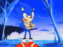 Sonic The Hedgehog Fight GIF