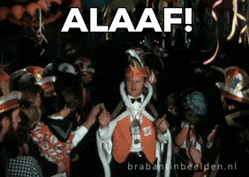Party Yes GIF by BrabantinBeelden