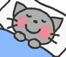 Cat 야옹이 GIF