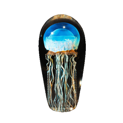 Jellyfish Creel Sticker by CreelandGow