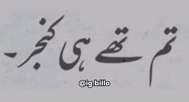 Urdu Meme GIF