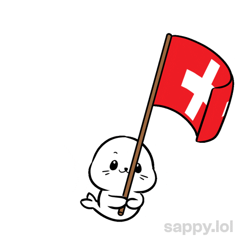 Lets Go Football GIF by Sappy Seals