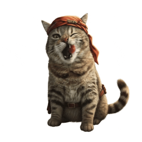 Happy Harrison Ford GIF