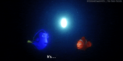 Marlin GIFs - Find & Share on GIPHY