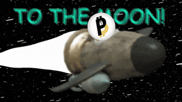 To The Moon Dogecoin GIF by BitPal