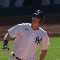 GIF: Yankees Fan Is Here for Our Amusement