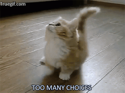 overwhelmed choices GIF