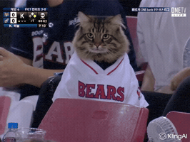 Cat Baseball GIF
