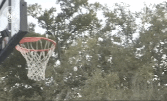 College Basketball GIF by Storyful