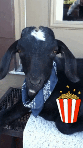 Goat GIF