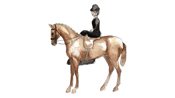 Sticker by equestriess