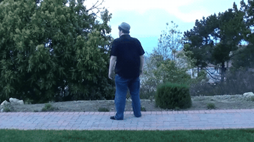 Reaction GIF