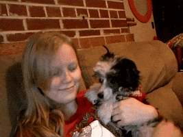 chinese crested kiss GIF