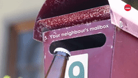 Your Neighbor's Mailbox  