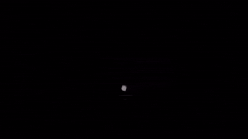 Bsp GIF by BlankSquareproductions
