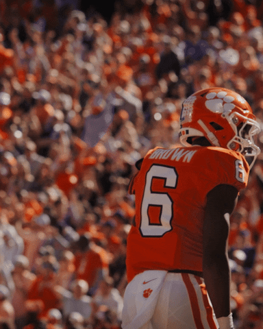 Football Celebration GIF by Clemson Tigers