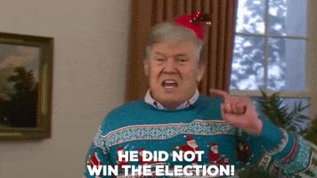 Donald Trump GIF by Sassy Justice