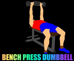 Bench Press Fitness GIF