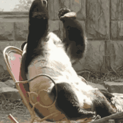 giphy.gif?cid=8fc3c8975d4757344e6161756f953013&rid=giphy.gif