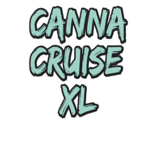 Bounce Amsterdam Sticker by Canna Cruise