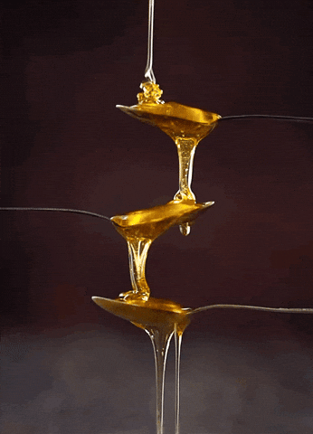 Image result for gif dripping honey gif