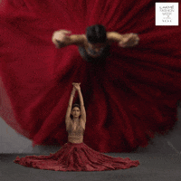 200.gif?cid=fc005b0870df565c984f17b10a6cbc679766b50bb0576710&rid=200.gif&ct=g