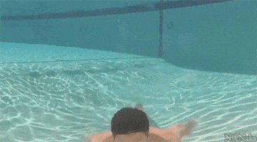 Pool GIFs - Find & Share on GIPHY