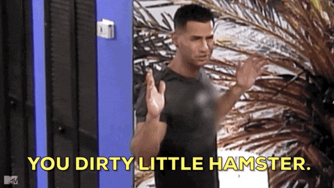 You Dirty Little Hamster Gifs Get The Best Gif On Giphy