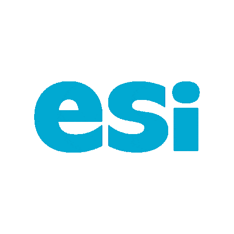 Esi Sticker by ESi_SiMS