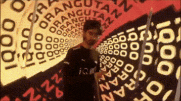 Og Orangutan GIF