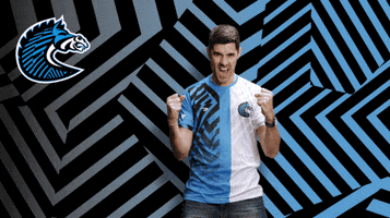 Victory Win GIF by BS+COMPETITION