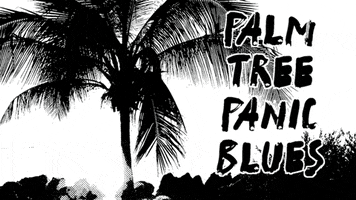 Palm Tree Panic GIF by Four Rest Films