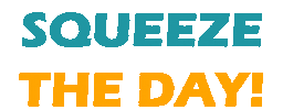Squeeze The Day Sticker by Shop Kitopi