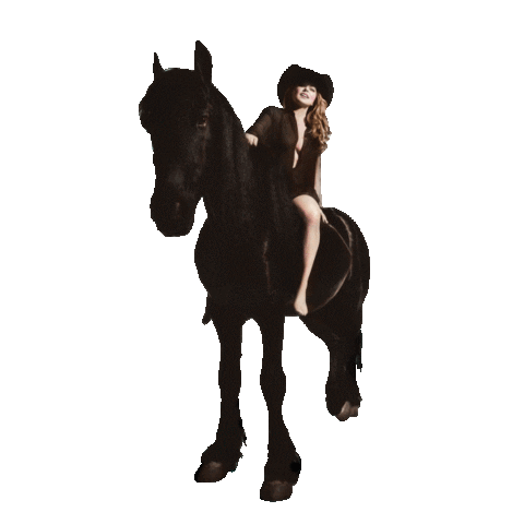 Country Pop Horse Sticker by Shania Twain