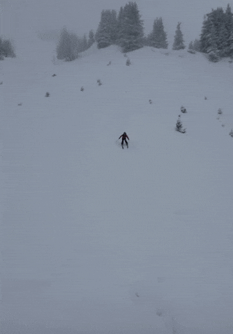 Jump Ski GIF