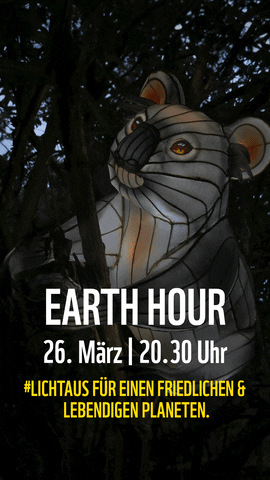 Earth Hour Koala GIF by WWF Deutschland