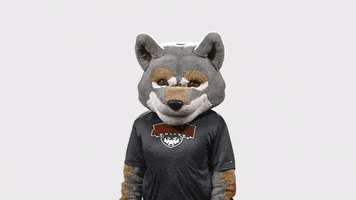 mascot idk GIF by Western Oregon University