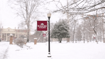 it's snowing snow day GIF by Roanoke College