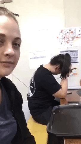 Festivals GIF by Eventure