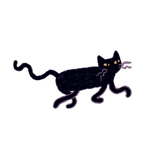 Black Cat Sticker by Flying Eye Books