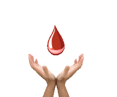 Zdraviv5krocich.cz Sticker