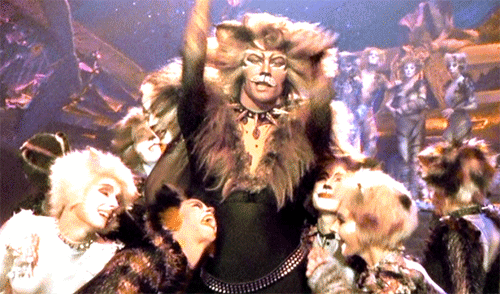 Rum tum tugger GIFs , Get the best GIF on GIPHY