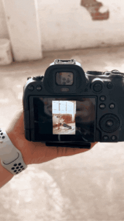 Kirstie Veatch Photography GIF