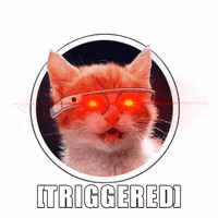 200w.gif?cid=82a1493b5tdl7giifmsskcefxc3