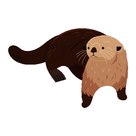 Sea Otter Art Sticker by Monterey Bay Aquarium
