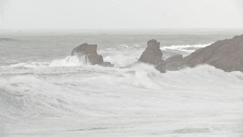 Tempete Gifs Get The Best Gif On Giphy