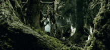 lord of the rings GIF by Maudit