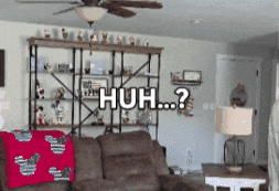Confused Question GIF by Beach Boss Influencers
