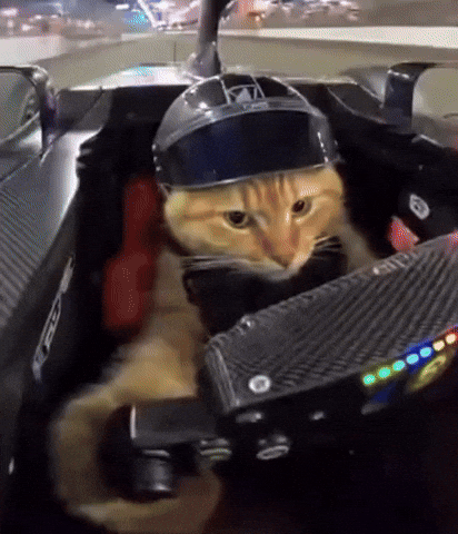 Formula 1 F1 GIF