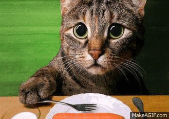 Hungry Eyes GIF - Find & Share on GIPHY